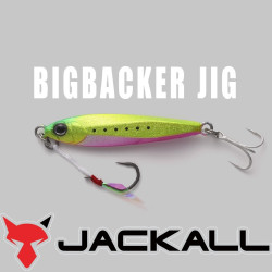 Jackall Bigbacker Jig 15g