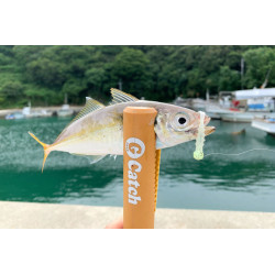 Jackall Good Meal Head Light