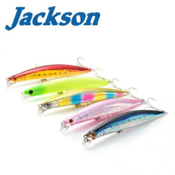 Jackson Shallow Swimmer