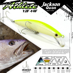 Jackson Athlete 12F