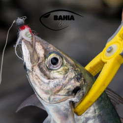 Mini Bucktail 10g Bahía Jigs