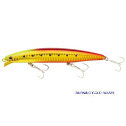 Daiwa Vertice 120F SSR...