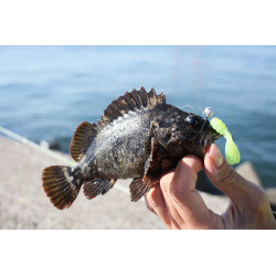 Jackall Good Meal Craw 1.5"